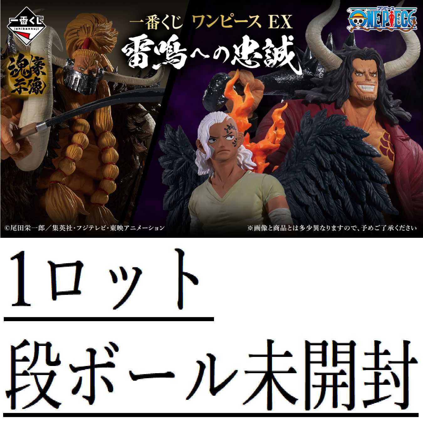 一番くじ ワンピース EX 雷鳴への忠誠 1ロットの通販