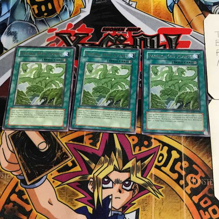 英語版 狂植物の氾濫 1 レア 3枚セット てら