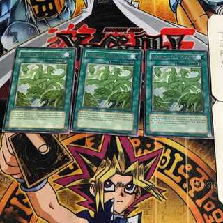 英語版 狂植物の氾濫 1 レア 3枚セット てら