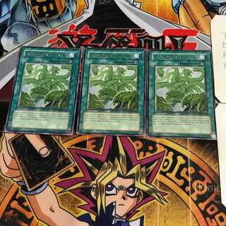 英語版 狂植物の氾濫 2 レア 3枚セット てら