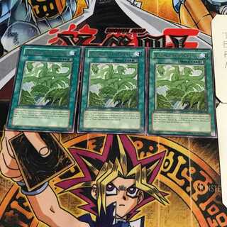 英語版 狂植物の氾濫 4 レア 3枚セット てら