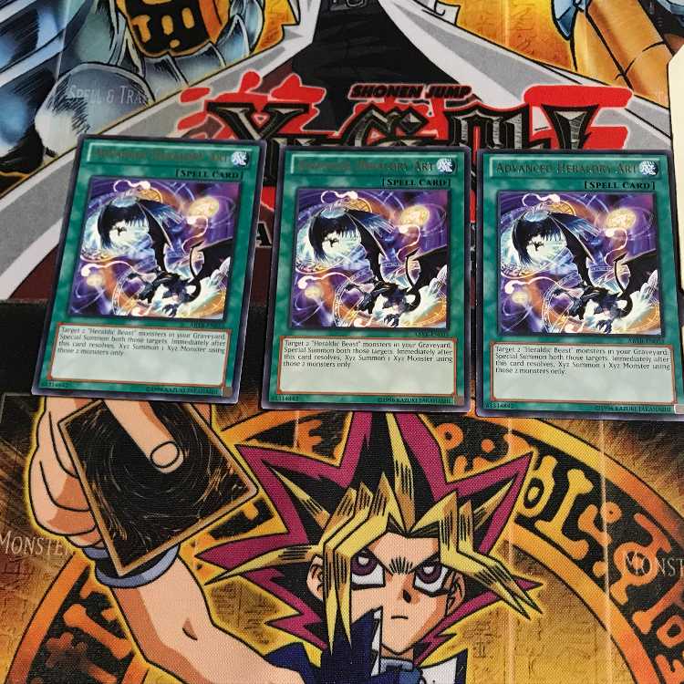 英語版 高等紋章術 5 レア 3枚セット てら