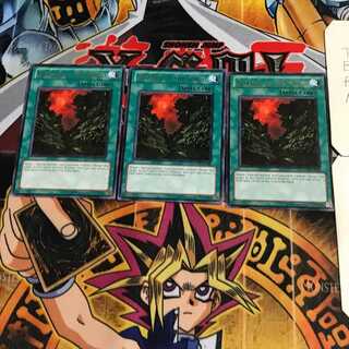 英語版 森のざわめき 2 レア 3枚セット てら