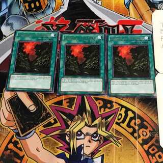 英語版 森のざわめき 4 レア 3枚セット てら