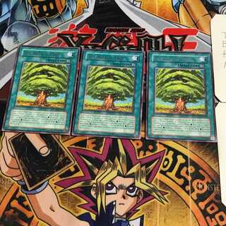 英語版 世界樹 6 レア 3枚セット てら