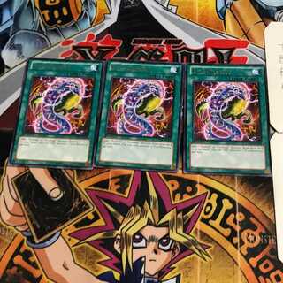 英語版 多様進化 3 レア 3枚セット てら