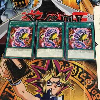 英語版 多様進化 5 レア 3枚セット てら