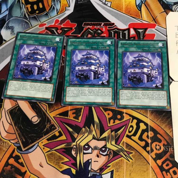 snsd 様 専用 1枚