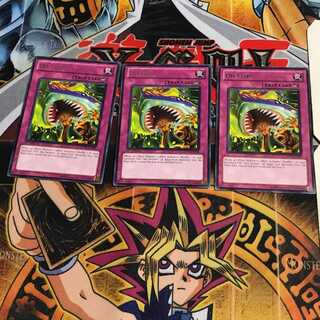 英語版 ギョッ! 3 レア 3枚セット てら