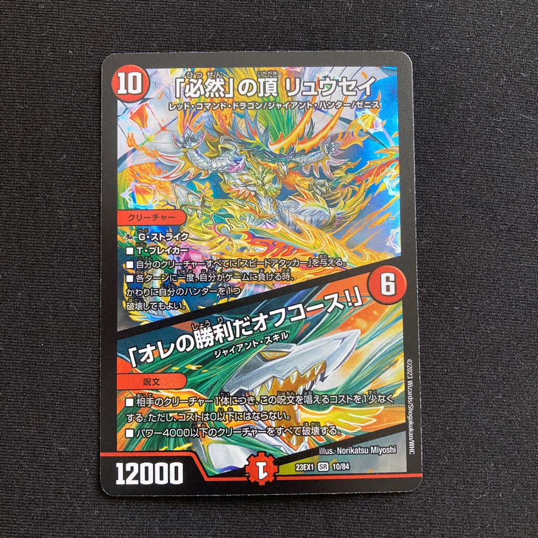 必然の頂リュウセイ