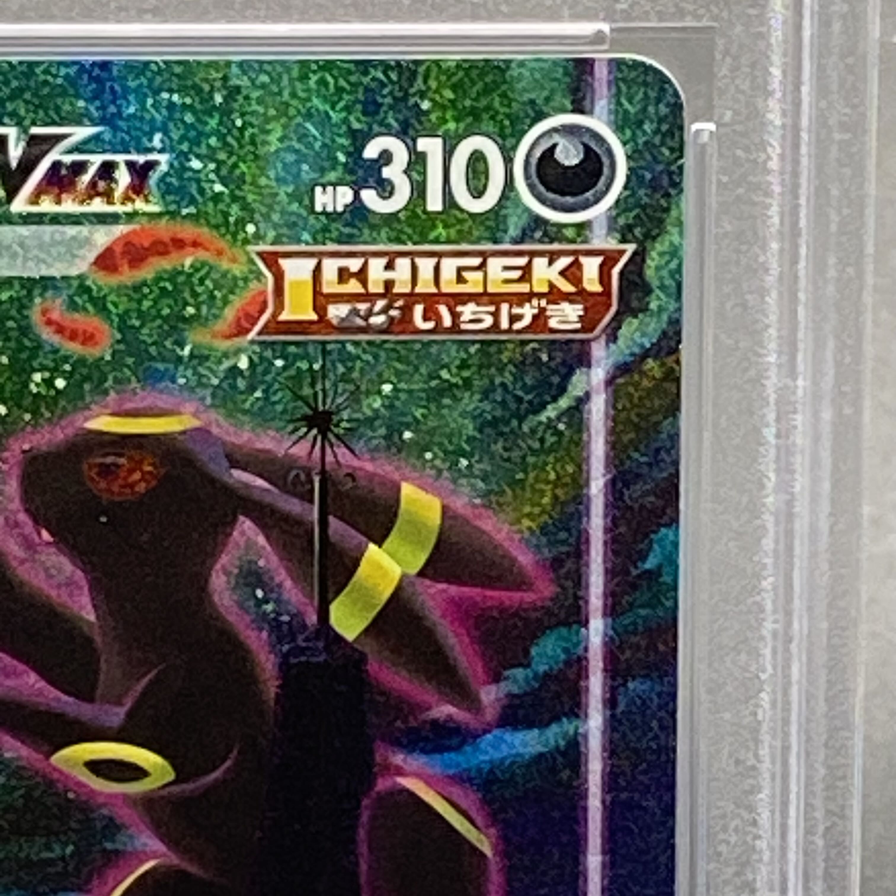 【PSA10】ブラッキーVMAX HR 095/069