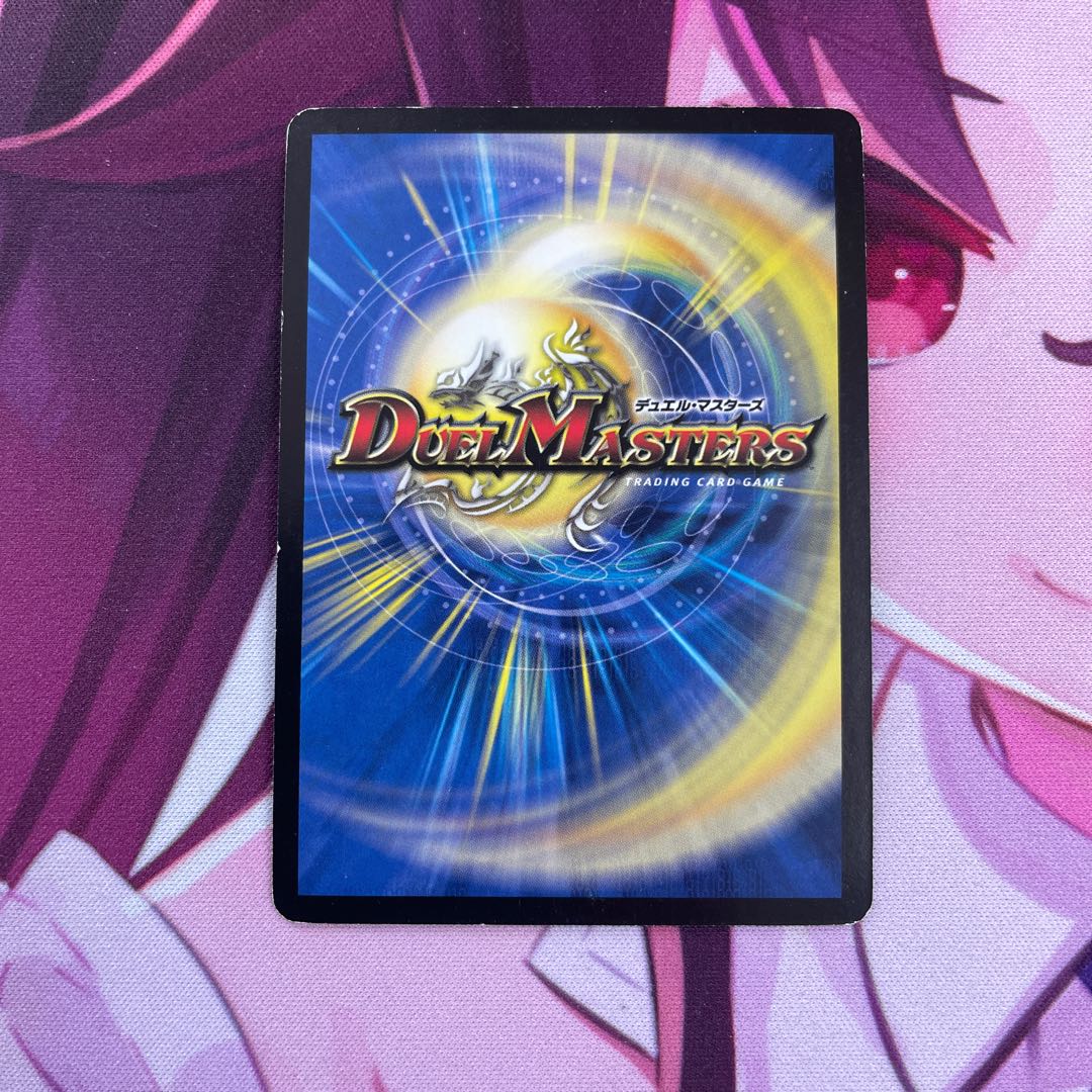 魂と記憶の盾 VR 4/55