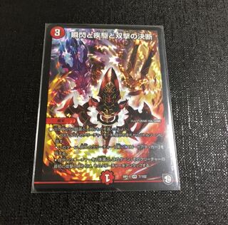 瞬閃と疾駆と双撃の決断