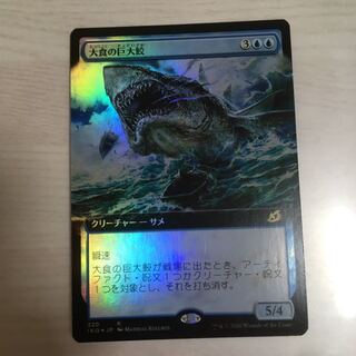 大食の巨体鮫　3枚