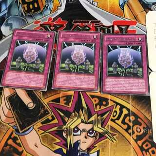 英語版 栄誉の贄 2 レア 3枚セット てら