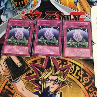 英語版 栄誉の贄 5 レア 3枚セット てら