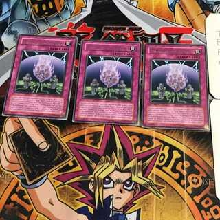 英語版 栄誉の贄 6 レア 3枚セット てら