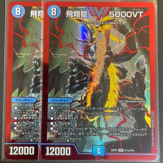 飛翔龍5000VT 2枚の通販 Sena_ （1163771219） | magi