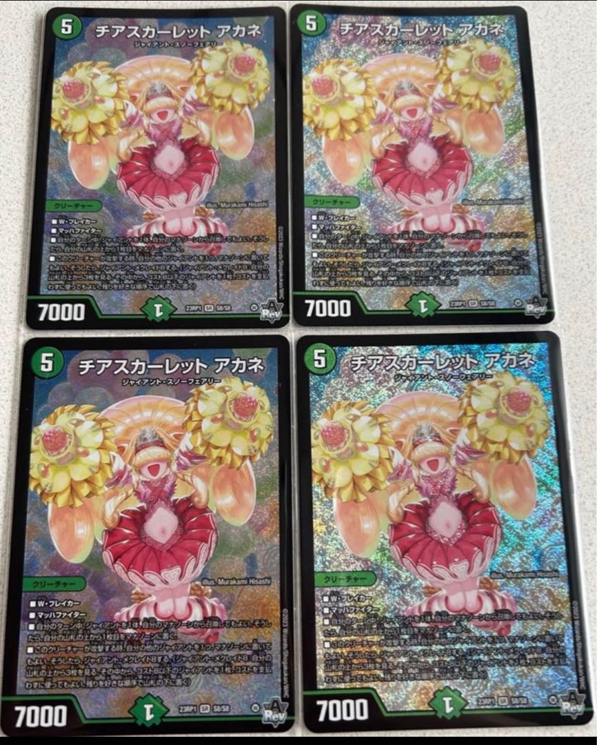 チアスカーレットアカネ チアスカーレット アカネ