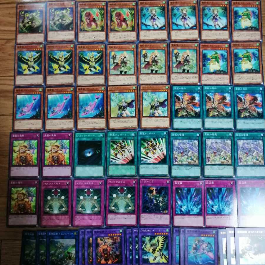 本格構築　霊獣デッキ　エクストラ15枚