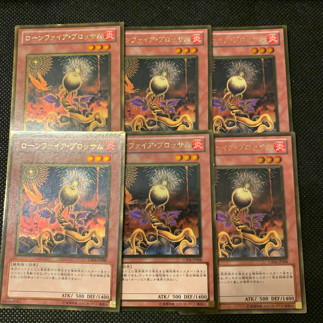 ローンファイア・ブロッサム