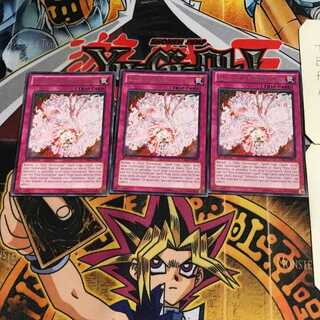 英語版 極炎舞-「星斗」 2 レア 3枚セット てら