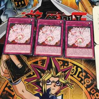 英語版 極炎舞-「星斗」 3 レア 3枚セット てら