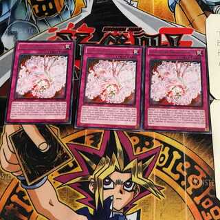 英語版 極炎舞-「星斗」 4 レア 3枚セット てら