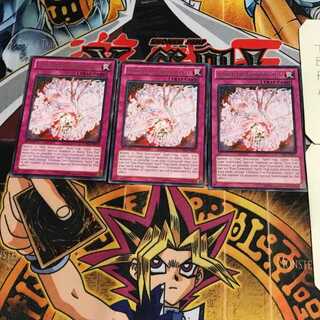 英語版 極炎舞-「星斗」 5 レア 3枚セット てら