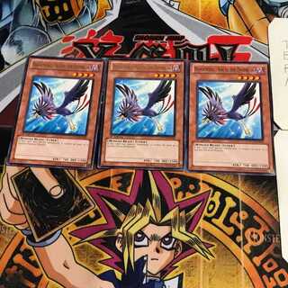 英語版 BF-東雲のコチ 5 レア 3枚セット てら