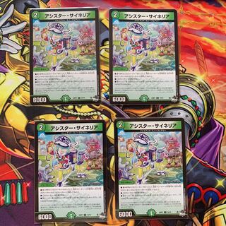 アシスター・サイネリア C 73/74