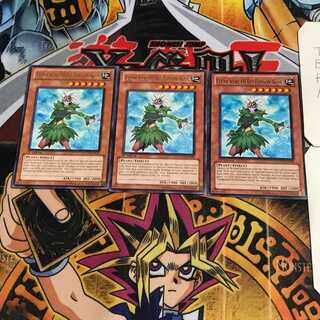 英語版 E・HERO ブルーメ 2 レア 3枚セット てら