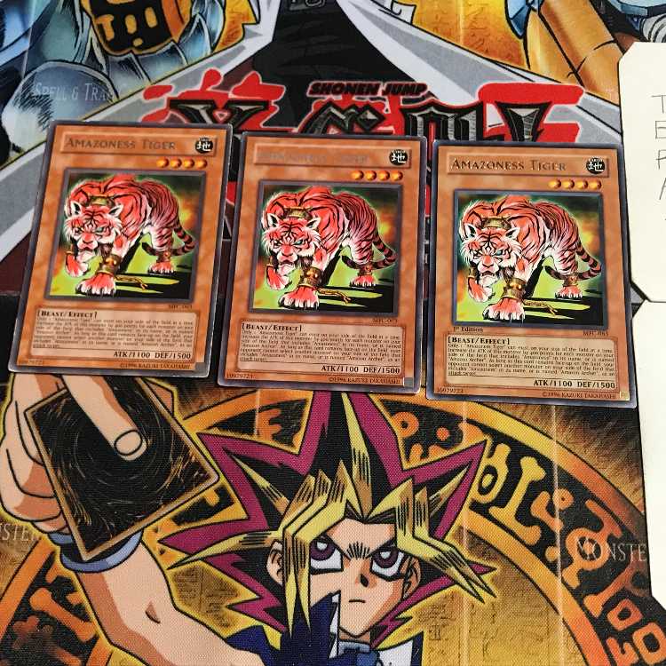 英語版 アマゾネスペット虎 1 レア 3枚セット てら