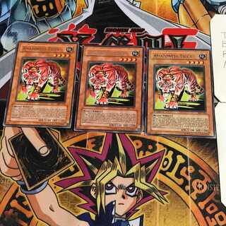 英語版 アマゾネスペット虎 1 レア 3枚セット てら