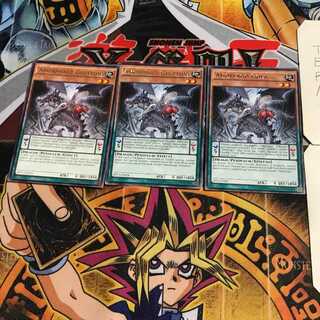 英語版 アモルファージ・ガストル 1 レア 3枚セット てら