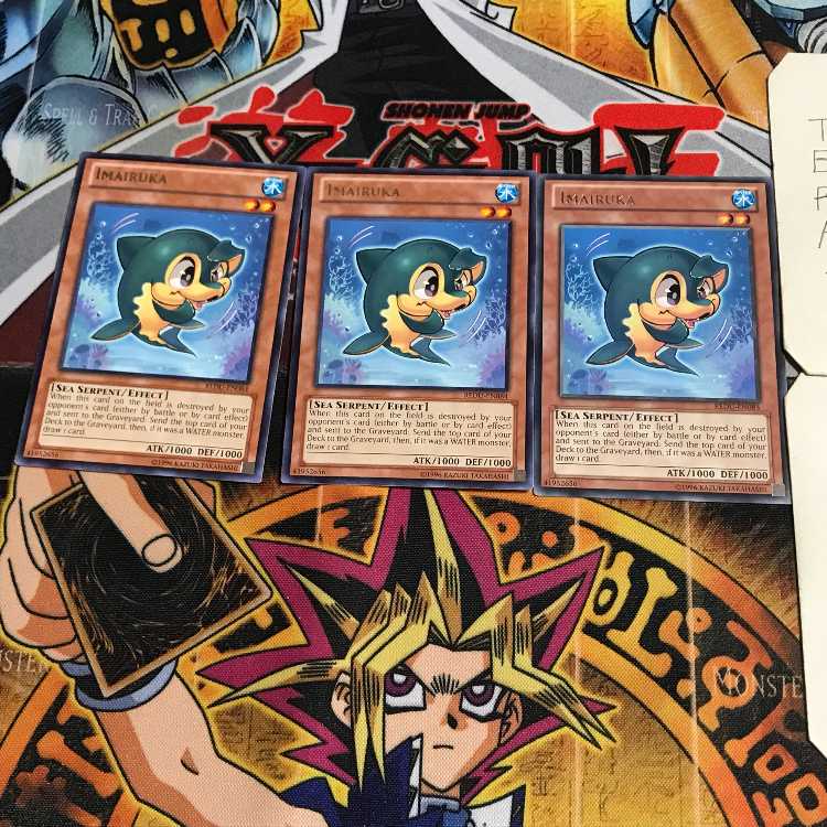 英語版 イマイルカ 1 レア 3枚セット てら