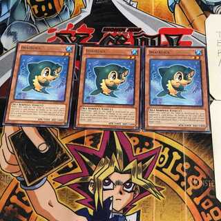 英語版 イマイルカ 2 レア 3枚セット てら