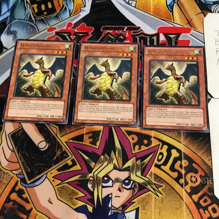 英語版 ウイングトータス 1 レア 3枚セット てら