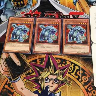 英語版 エヴォルダー・ウルカノドン 1 レア 3枚セット てら