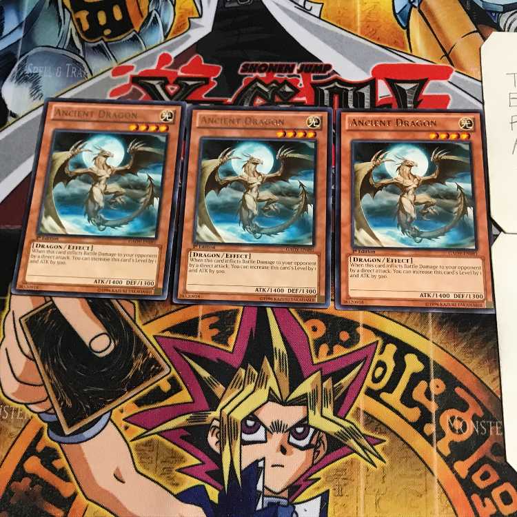 英語版 エンシェント・ドラゴン 3 レア 3枚セット てら