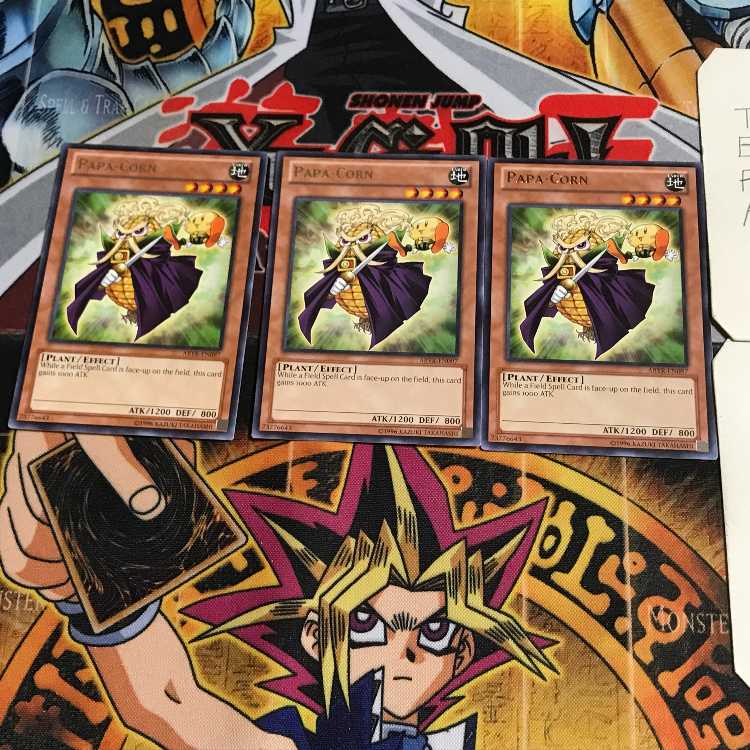 英語版 オヤコーン 3 レア 3枚セット てら