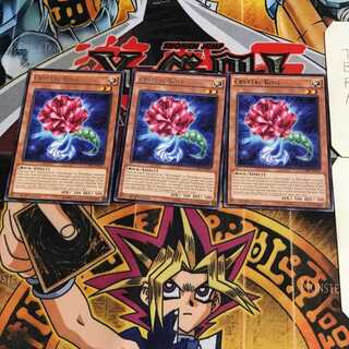 英語版 クリスタル・ローズ 1 レア 3枚セット てら