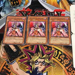 英語版 ゲイシャドウ 2 レア 3枚セット てら