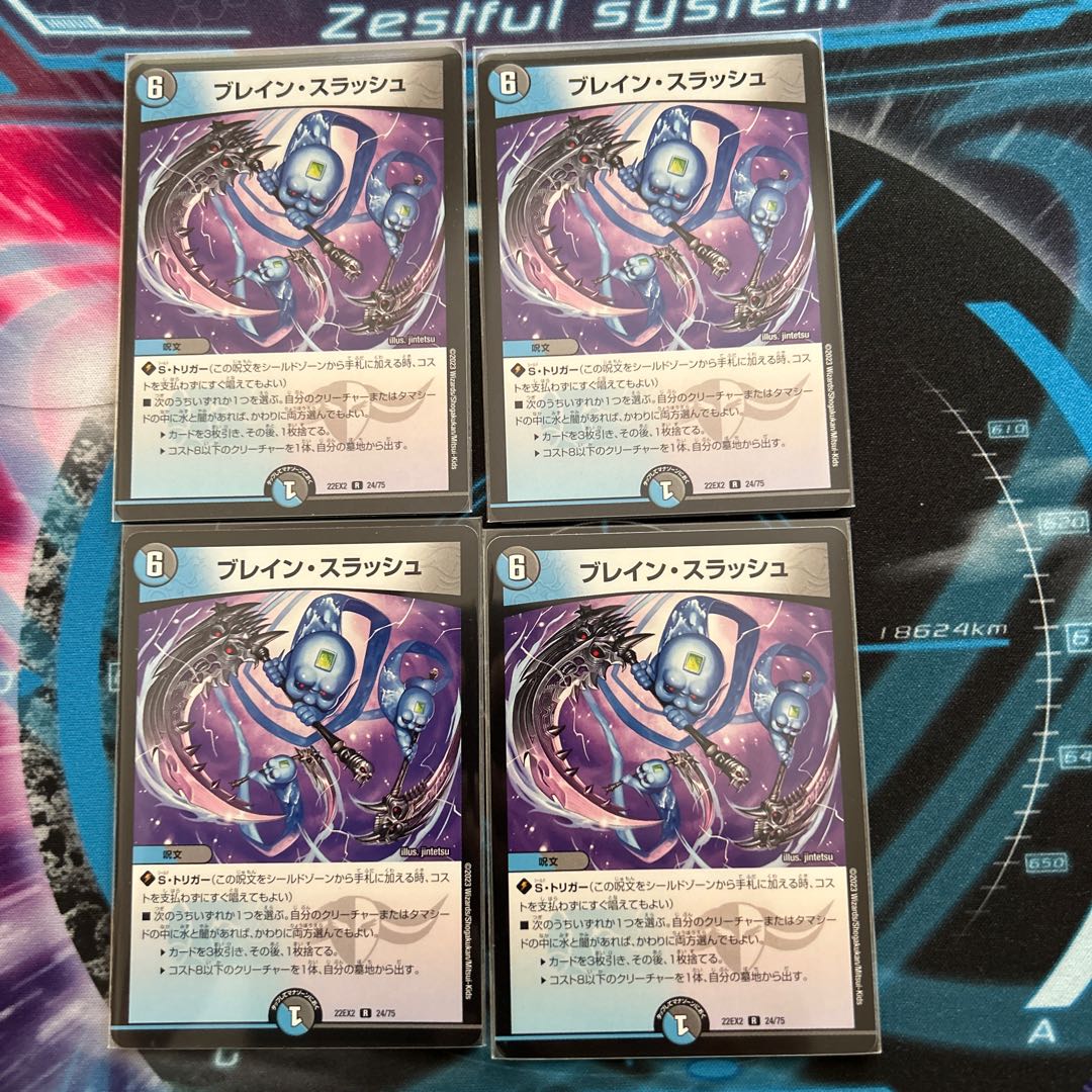 ブレイン・スラッシュ R 24/75