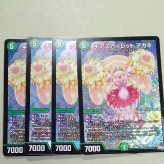 チアスカーレット アカネ SR S8/S8