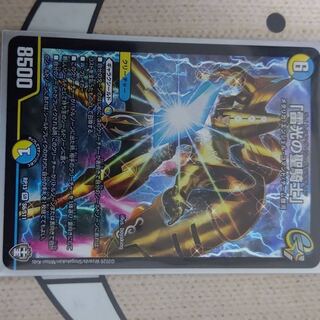 「雷光の聖騎士」