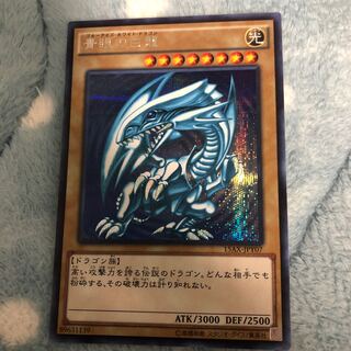 青眼の白龍シークレット