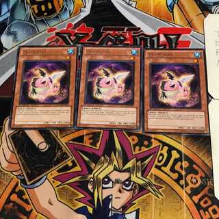 英語版 サシカエル 1 レア 3枚セット てら