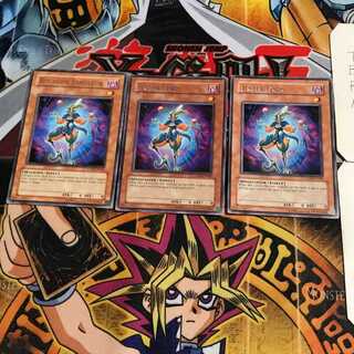 英語版 ジェスター・ロード 2 レア 3枚セット てら