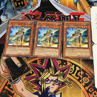 英語版 シールド・ウォリアー 1 レア 3枚セット てら